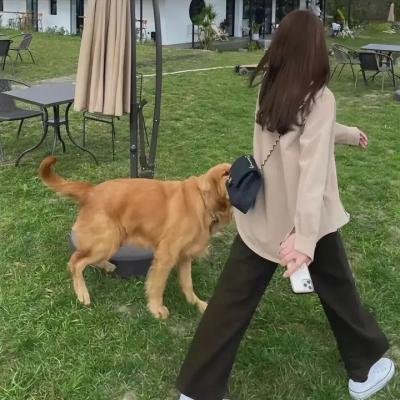 女人的秘密